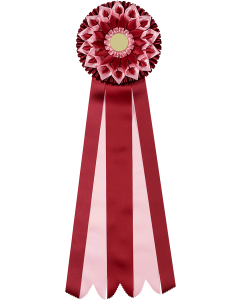 Rosette entwerfen