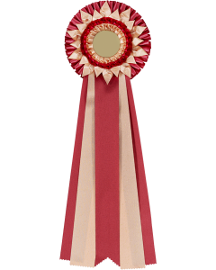 Rosette entwerfen